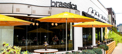 Custom Commercial Push Up Restaurant Patio Umbrella - Deluxe Canpopy