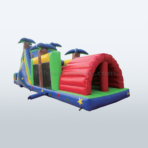 Custom Inflatable Slide DC-02 | Deluxe Canopy